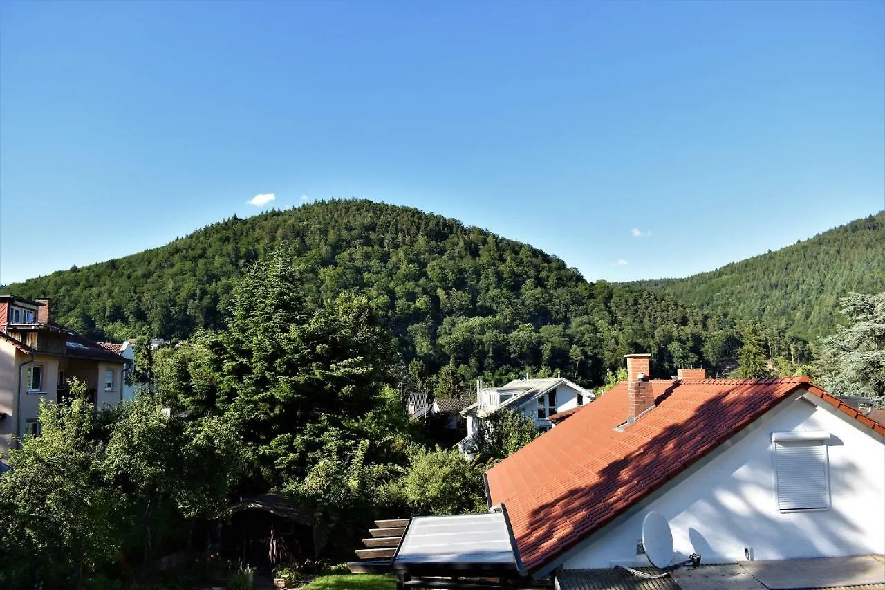 Fvh Family Vacation Heidelberg Apartment Germany