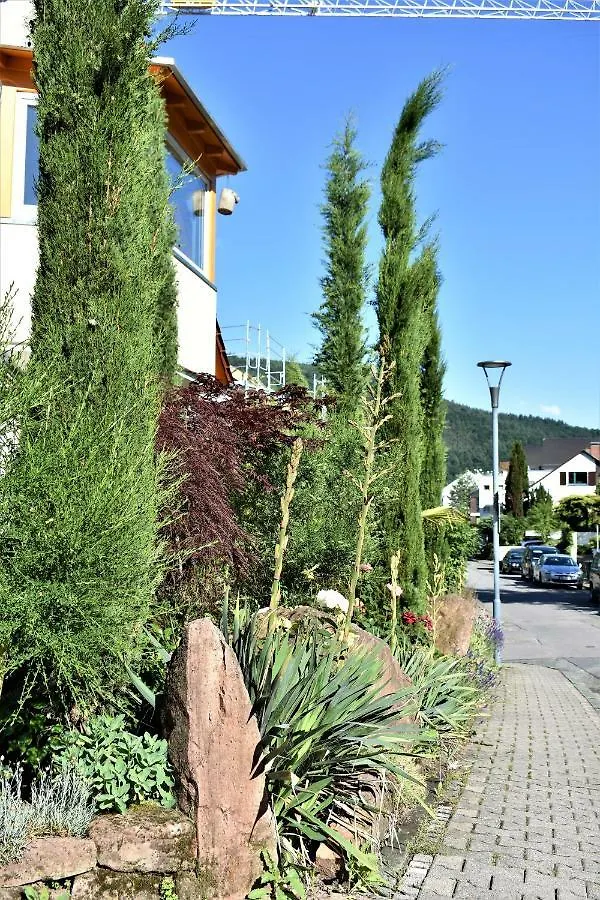 Fvh Family Vacation Heidelberg Apartment